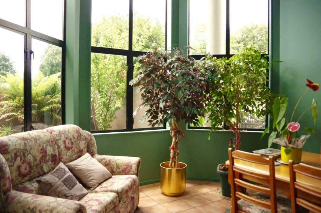 Hamilton East Homestay Dış mekan fotoğraf