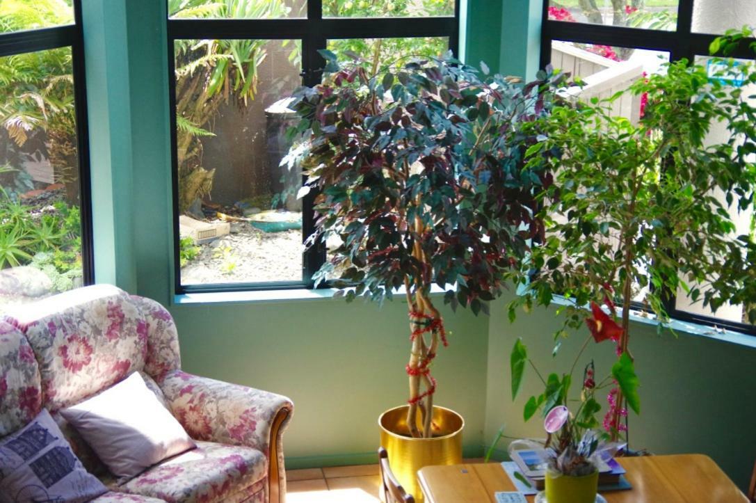Hamilton East Homestay Dış mekan fotoğraf